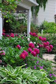 Pin Auf Gardening