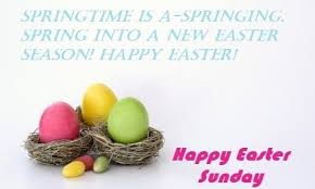Easter time is a time for fun and marks the beginning of the spring season. Funny Easter Messages For Cards Funny Png