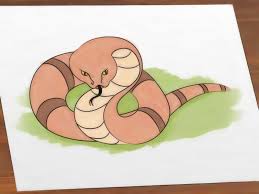 We did not find results for: Cara Menggambar Ular 15 Langkah Dengan Gambar Wikihow