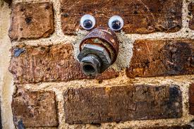 Googly-Eye Bombing Downtown Greenville