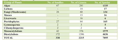 Image result for Crateranthus congolensis