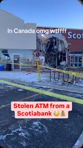 The Newfoundland Turnip