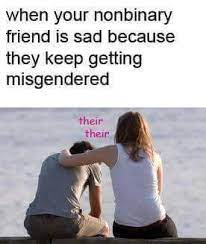 Find and save non binary memes | usually under the genderqueer or transgender umbrellas. Anyone Got More Nonbinary Memes Nonbinary