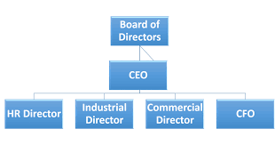 Factual Chart Showing Company Organisation Wipro