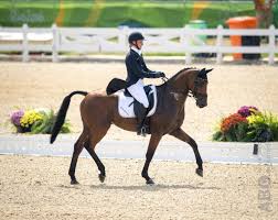 Check spelling or type a new query. Julia Krajewski Wijst Excuses Sostmeier Voorlopig Af Horses Nl