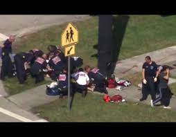 Details emerge in timeline, what we know about suspect | abc news. Florida School Shooting Horror Footage As Gunshots Ring Out In School World News Express Co Uk