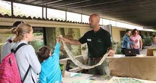 Au Zoo De La Fleche L Arche De La Nature Fait Aimer Les Serpents Le Mans Maville Com