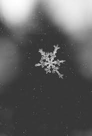 Black And White Aesthetic Tumblr Iphone Wallpaper Snowflake Aesthetic Tumblr Google Search Wallpaper Iphone Christmas Christmas Wallpaper Iphone Tumblr Christmas Wallpaper