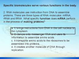 (choose all that apply.) aligning the parts of substrates that need to connect to form a … product. Surfin Through Staar Session 3 Dna Protein Synthesis