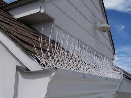 One way to keep birds from spending time around your roof, chimney, and otherwise is to install bird spikes around the flat spaces of your roof and house. How To Keep Birds Off Your Boat Or Dock Official Nixalite Of America Blog