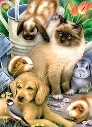 Springtime Pets A 500piece Jigsaw Puzzle By Sunsout Inc Details Can Be Found By Clicking On The Image Note It Is Affiliate L Animals Cute Dogs Cute Animals
