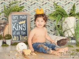 A free summary of where the wild things are by maurice sendak. Where The Wild Things Are First Birthday Cake Smash Los Angeles One Year Old Custom Portrait Photography Los Angeles Based Photo Studio The Pod Photography Specializing In Maternity Newborn Baby First Birthday