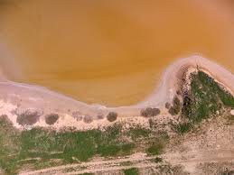 We did not find results for: Premium Photo Aerial Top View Of Big Stones Named Kamyana Mohyla Melitopol Ukraine