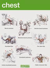 Bodybuilding Chest Exercises Chart At Home Images