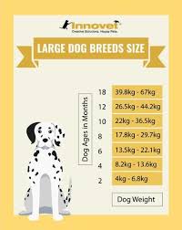 Puppy Growth Chart By Month Breed Size Puppy Growth Chart Puppy Care Dog Size Chart