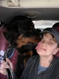 Lost Dog Found in Evansville Area