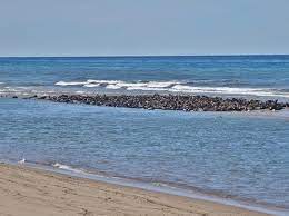 Head of the meadow beach. Seal Island At Low Tide Picture Of Head Of The Meadow Beach Truro Tripadvisor