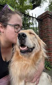 Hi Carly, looking to go to alcudia next year. Can you beat this price at  all? 2 adults & 3 children who will be 10, 7 and 4 at the time. Ethier