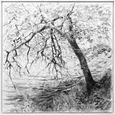 Herbst Wie Zeichne Ich Einen Baum Kunst Museums Padagogische Angebote Ambulante Kunsttherapie