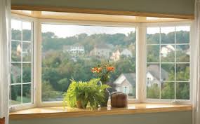 A large plant dresses and makes the space living. Bay Window Replacement Manhattan Ks Vanguard