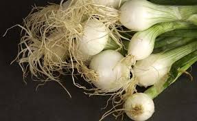 Hackez Votre Supermarche Voici 11 Fruits Et Legumes Que Vous Ne Devriez Acheter Qu Une Seule Fois Dans Votre Vie Si Vous Connaissez Ces Astuces Fruits Et Legumes Trucs Et