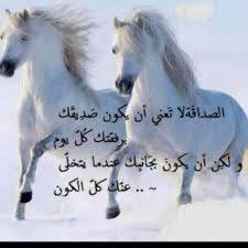 صور خيل مكتوب عليها حكم خيول حكم عن الخيل والصفات الحسنة رسائل حب
