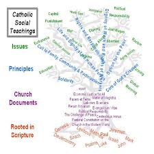 Bull terrier puppy dog cartoon. Catholic Social Justice Quotes Quotesgram