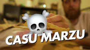 Je Mange Le Fromage Le Plus Dangereux Du Monde Casu Marzu Youtube
