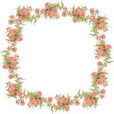 Catherine Klein Peach Roses Digital Elements Peach Roses Digital Elements Flower Frames