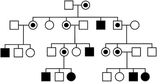 mendelian inheritance and its exceptions glowm