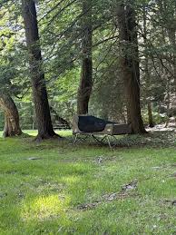 Image result for Dark Woodland Green 2002 Topkick