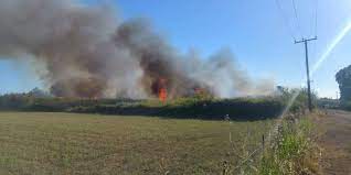 Check spelling or type a new query. Fwtia Twra Sthn Kalamata City View