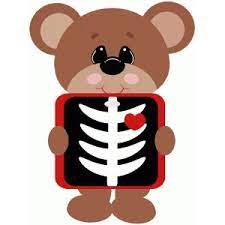 Silhouette Design Store Xray Bear Drawing For Kids Silhouette Design Design Store