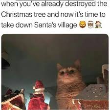 Pin By Emilie Browne On Misc Funny Funny Animal Jokes Funny Animal Memes Funny Cat Memes