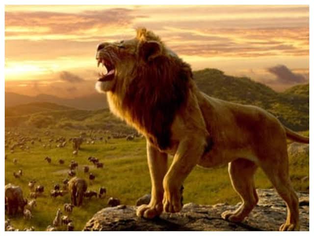 Image result for Congratulations to #TheLionKing for winning 3 Visual Effects Society Awards"