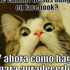 Dar papa a venit in romania si cu un mesaj pe care politicienii par a»»». Andrew Mv Robanyhood Twitter