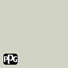 Ppg 1 Gal Ppg1125 2 White Sage Satin
