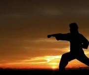Kung Fu (für Kinder ab 6 Jahren)