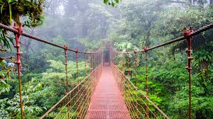 Costa rica facts, costa rica geography, travel costa rica, costa rica internet resources, links to costa rica. Costa Rica Country Information Natucate
