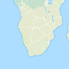 Image result for Belonophora coffeoides