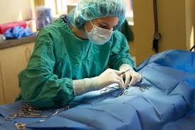 You will find individualized support which focuses on maintaining a happy, healthy lifestyle for your pet. West Side Animal Hospital