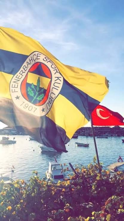 Fenerbah�e Wallpapers