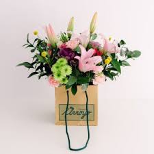 We did not find results for: Inicio Arroyo Floristeria Lleida Flores Ceremonias Eventos Plantas Rosas Sant Jordi Sant Valentin Nacimientos Peluches Peluix Coronas Funerarias Jarrones Corenes Funeraries Complementos Online Avinguda Balmes Oferta Semanal Facebook Rosas Orquidias