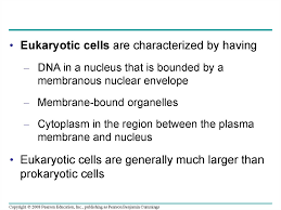 And mark as a brainlist A Tour Of The Cell Online Presentation
