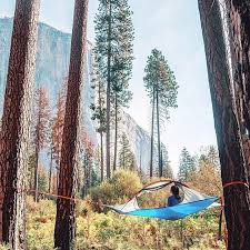 Features of the tentsile trillium hammock. 19 Of The Most Spectacular Tree Tents That Money Can Buy Hammock Town