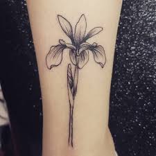 22 Grandiose Iris Tattoo Designs And Meanings Tattoos In 2020 Tatoeage Ideeen Tatoeage Tatoeages