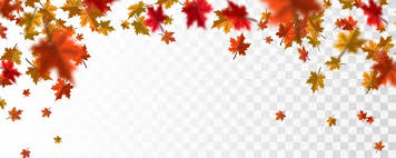 Vector floral border design element for birthday, thanksgiving card, wedding invitation. Autumn Border Images Free Vectors Stock Photos Psd