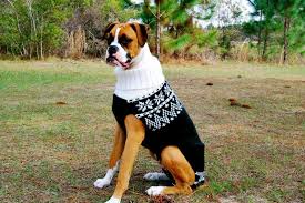 Die mütze sitzt locker und ist am kopf nicht zu eng die mütze selber wird im perlmuster gestrickt. Hundepullover Stricken 42 Warme Ideen Strickanleitung Diy Zenideen Hundepullover Stricken Hunde Pullover Hundepullover