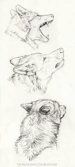 21,000+ vectors, stock photos & psd files. 40 Free Easy Animal Sketch Drawing Information Ideas Brighter Craft
