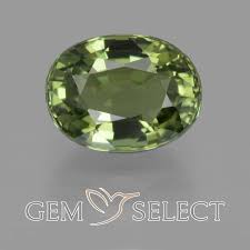 1 37 Ct Deep Green Tourmaline Green Tourmaline Green Gems Green Gemstones